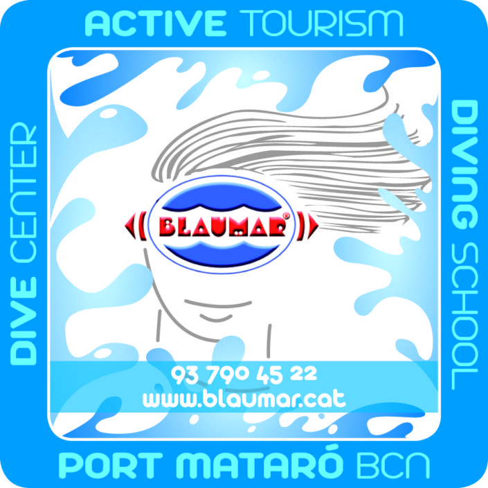 2016 Logo_Blaumar_OK