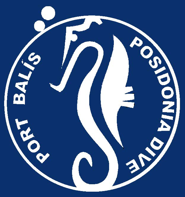 Logo Caballito con Aro