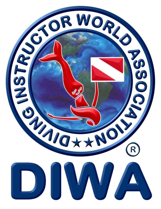 LOGO DIWA
