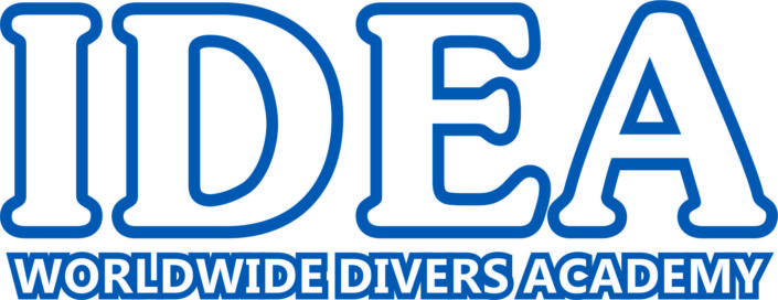 Logo Idea