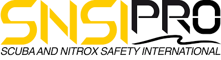 Logo SNSI