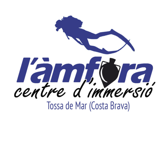 logoAmfora