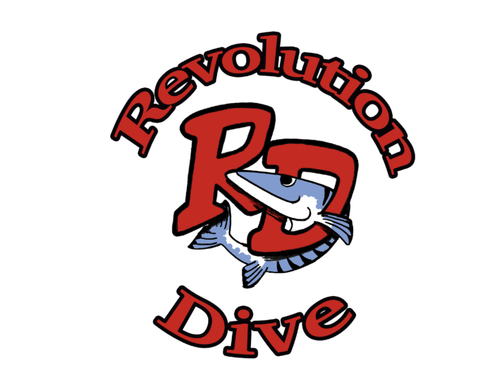LOGO REVOLUTION DIVE