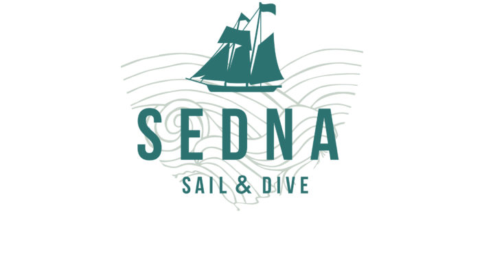 logo_sedna_2