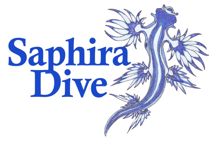 Logo shafira