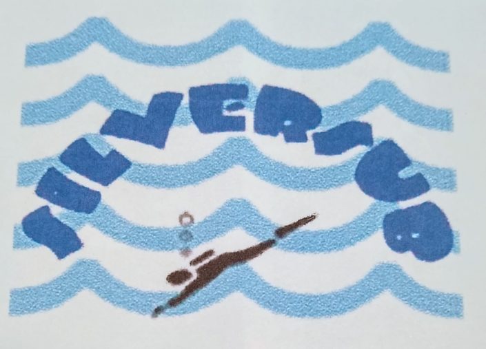 Logo Silversub