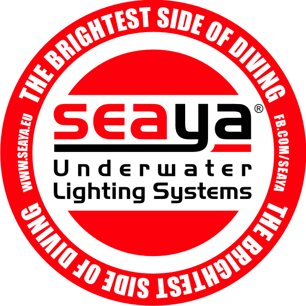 SEAYA_Logo