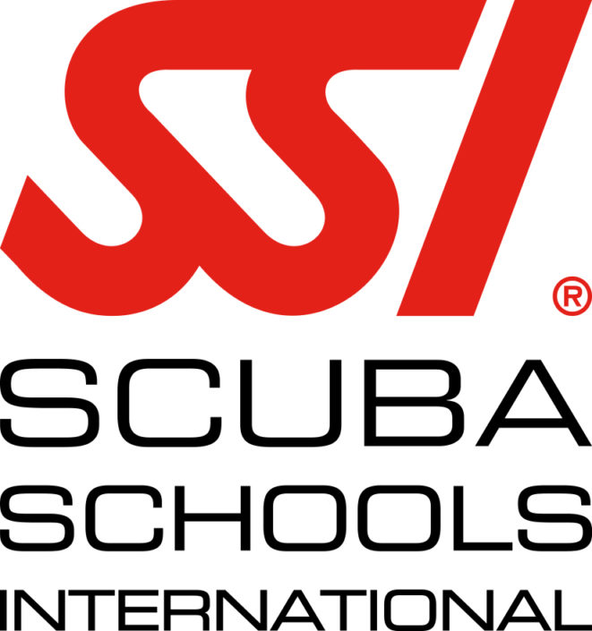 SSI_LOGO_Stack_RGB_Black