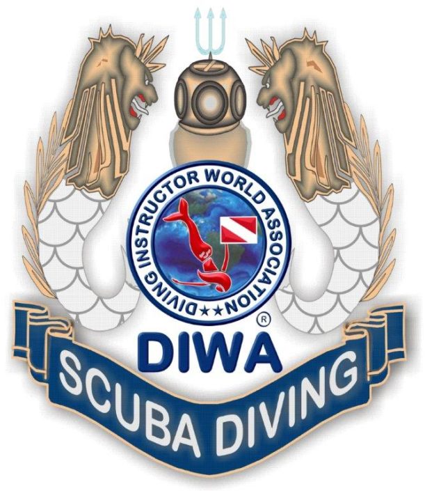 DIWA LOGO VALIDO