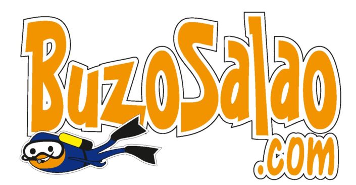 Logo Buzo Salao