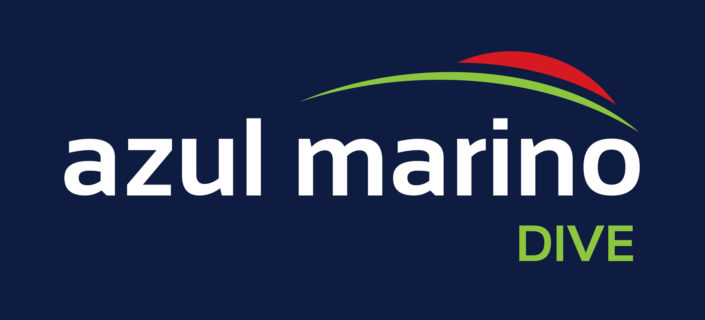 Logo Viajes Azul Marino