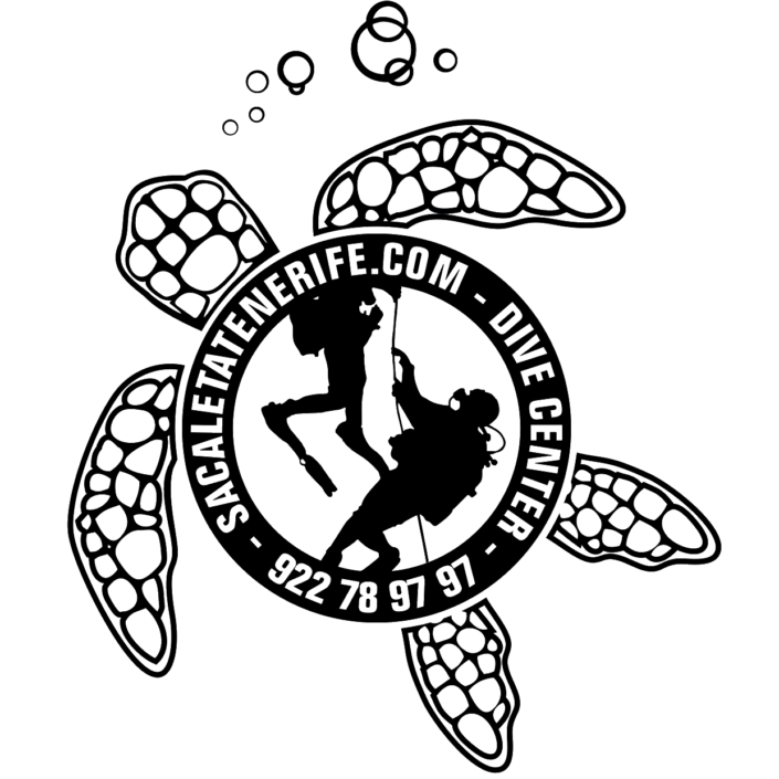 logo Sa Caleta Canarias