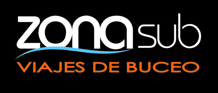 logo zonasub