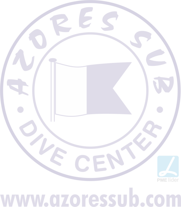 Azores Diving Center