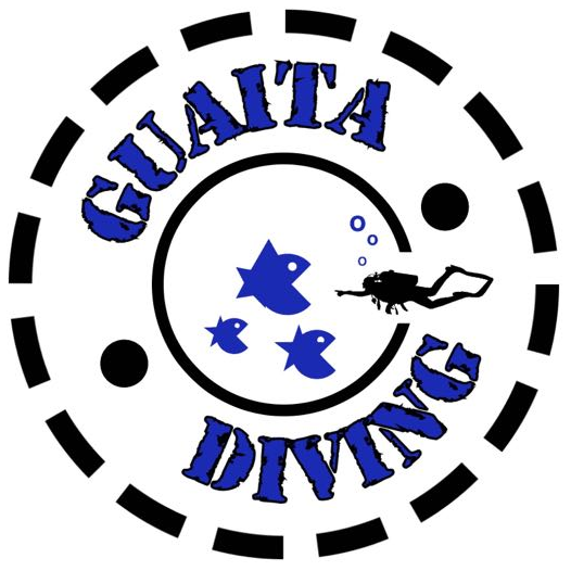 Logo Guaita