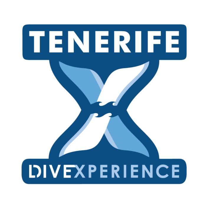 Logo_Tenerife_Xperience_Color_Transp