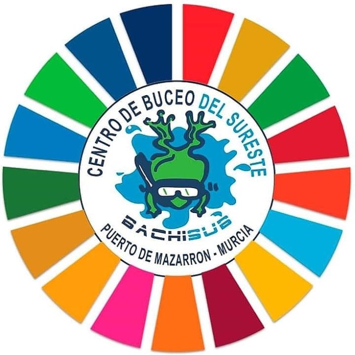 logo bachisub