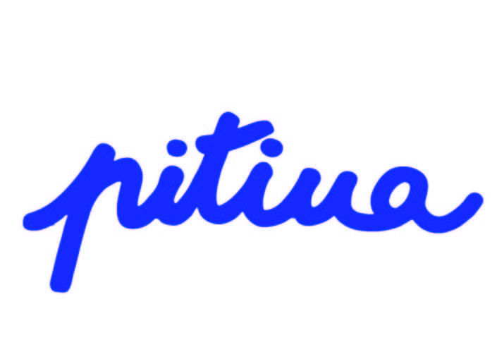 logo-pitiua-ok-blau.ai copia