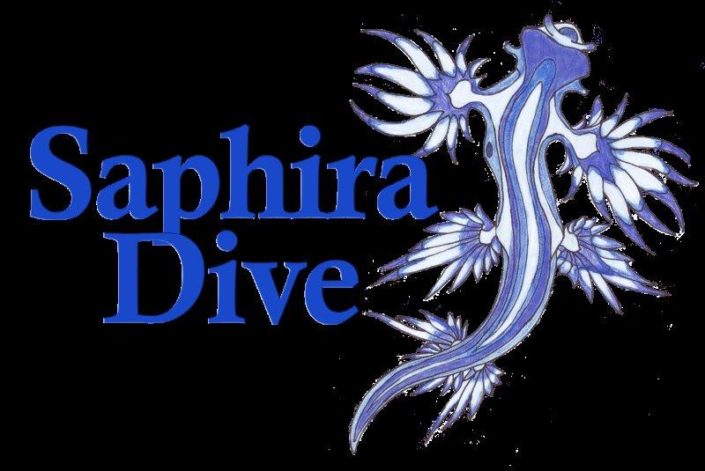 saphira color definitivo png sin fondo_baja